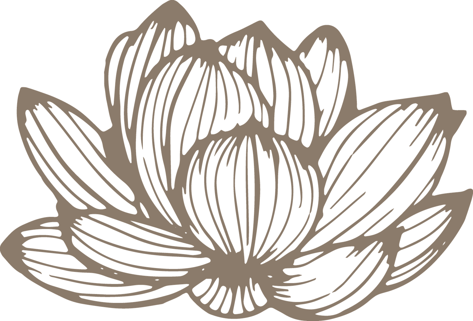 Logo Balance